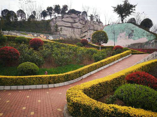 園林養(yǎng)護 (3)