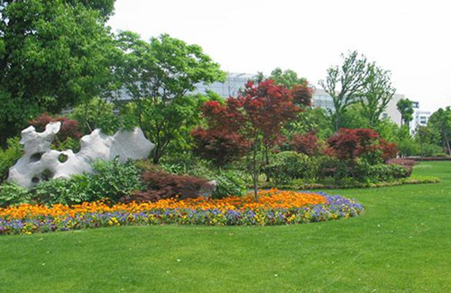 園林綠化養(yǎng)護的8項主要工作