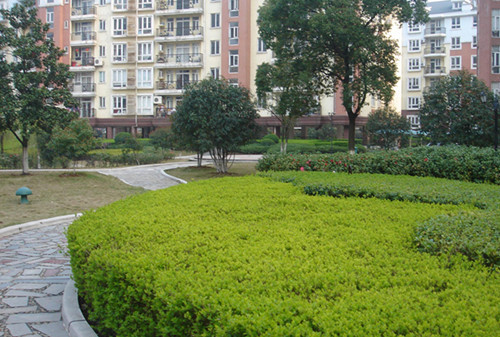 綠化園林養(yǎng)護的工作內(nèi)容有哪些？