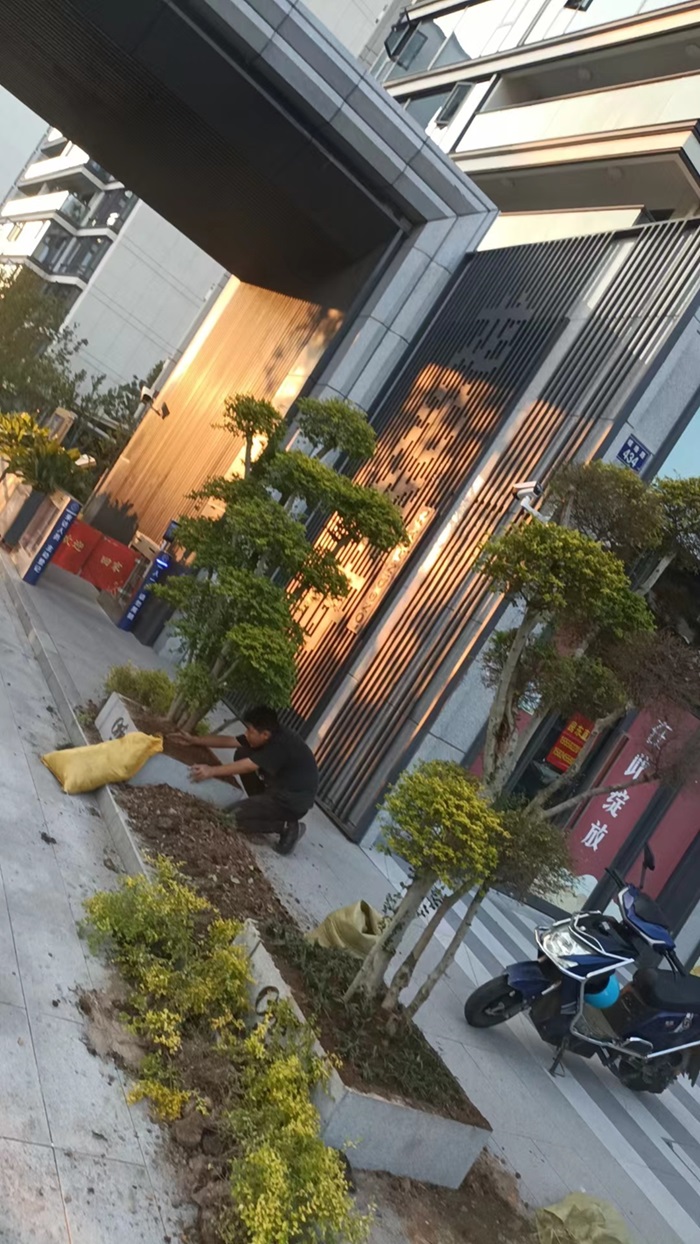 園林庭院設(shè)計